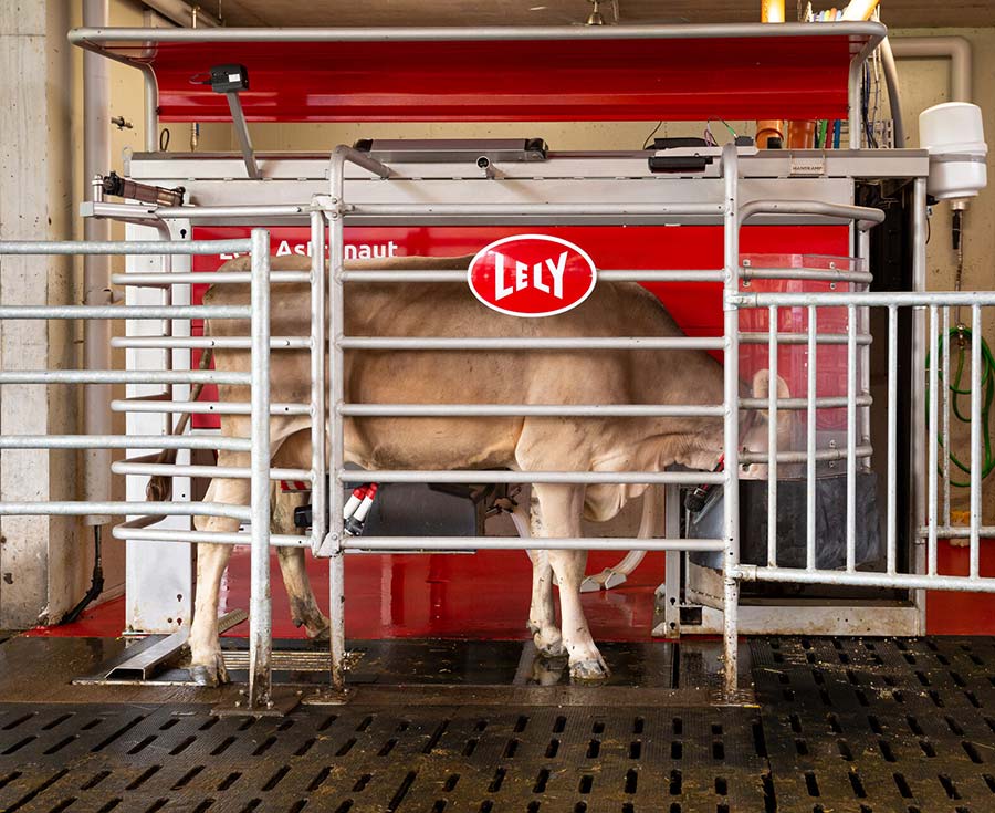 Lely Astronaut A5 milking robot