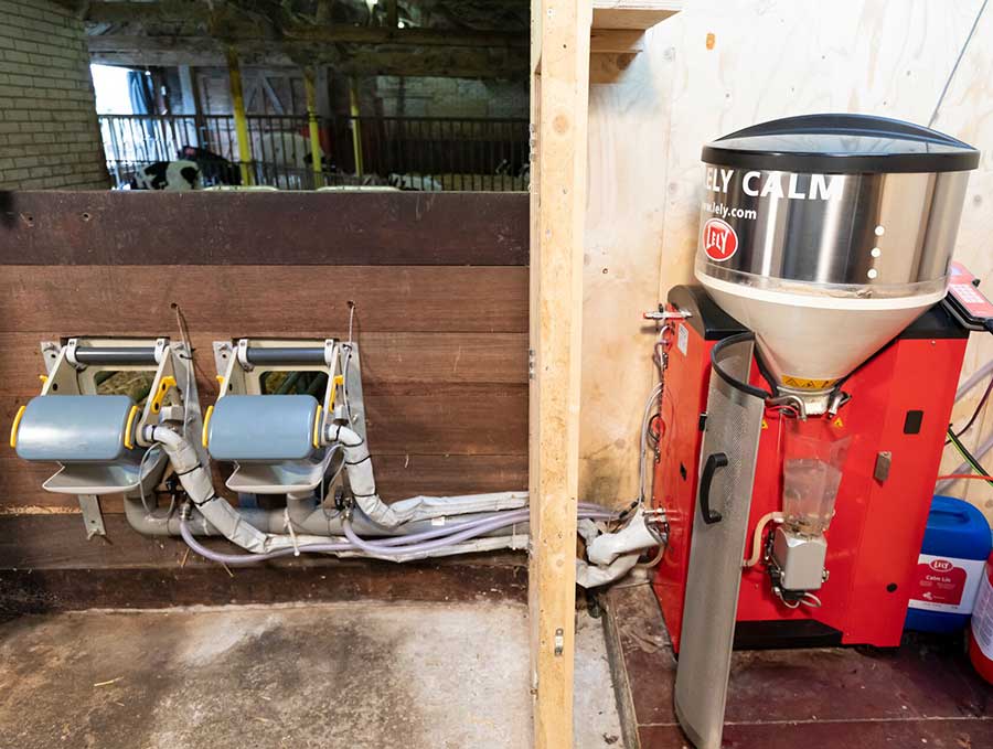 Lely Calm automated calf feeding