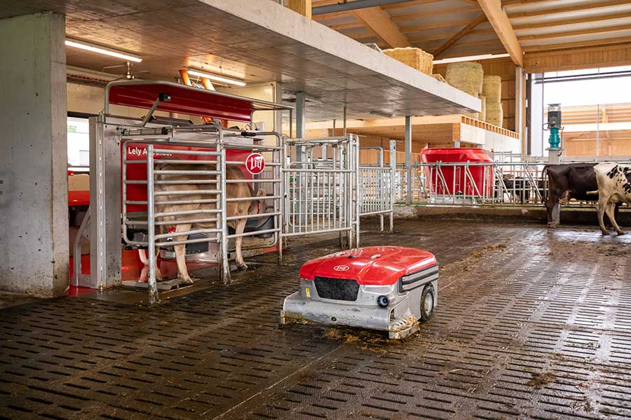 Lely Discovery Collector Robot for cow manure