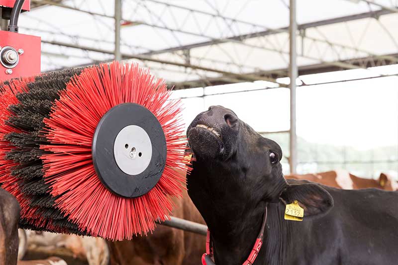 Lely Luna Cow brush Robotic Milking SA