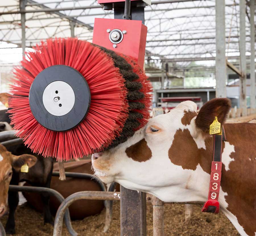 Lely Luna Cow brush Robotic Milking SA